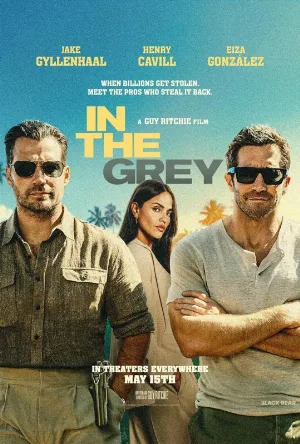 In the Grey 2026